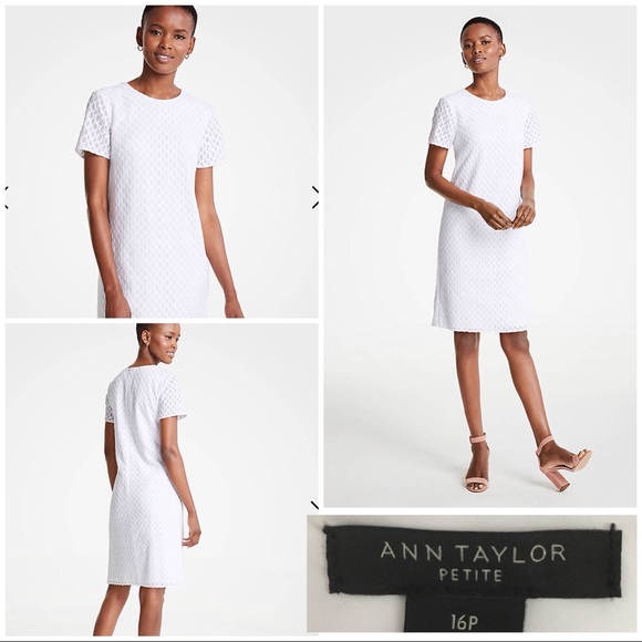 🔸NWT Ann Taylor Petite Embroidery Shift Dress 16P - Picture 1 of 5